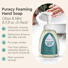 Natural Foaming Hand Soap