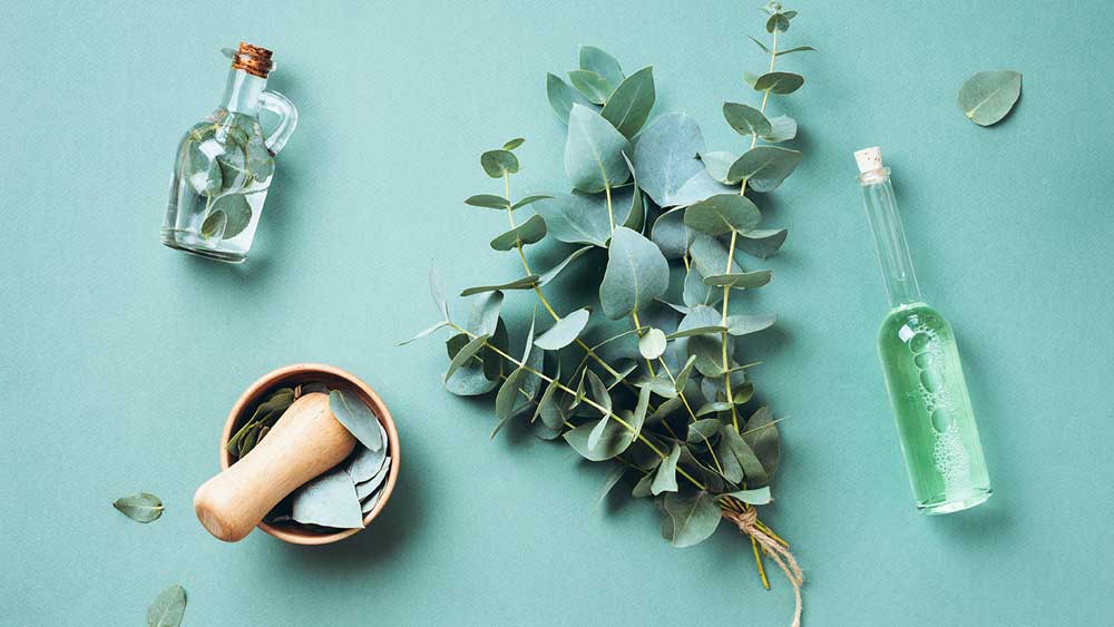 Eucalyptus essential oil