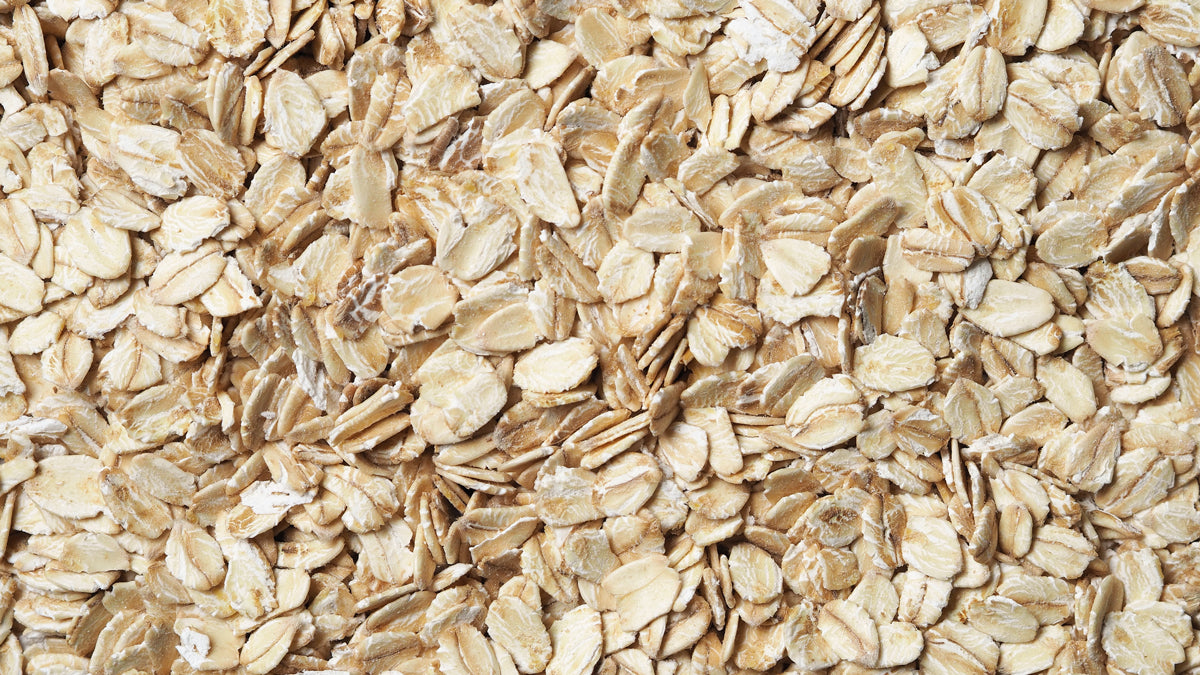 what is avena sativa