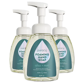 Natural Foaming Hand Soap